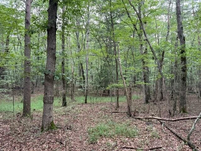 LOT123 Timberwood Trce Lot 123, Monteagle, TN 37356 - photo 17