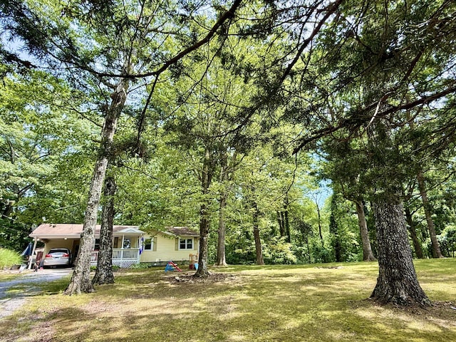 5404 Sawyer Rd, Signal Mountain, TN 37377 - photo 5