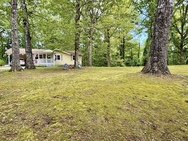 5404 Sawyer Rd, Signal Mountain, TN 37377 - photo 21