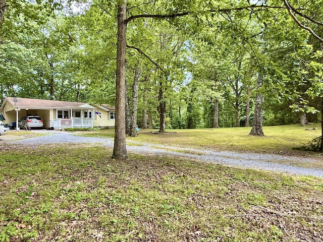 5404 Sawyer Rd, Signal Mountain, TN 37377 - photo 3