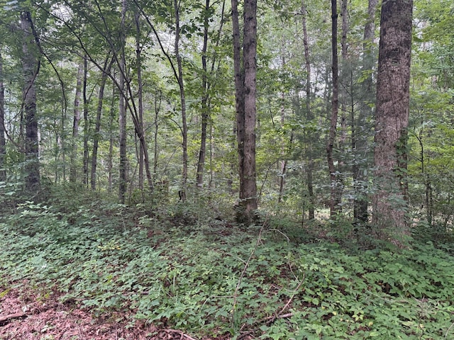 LOT1 Tipple Rd Lot 1, Tracy City, TN 37387 - photo 2