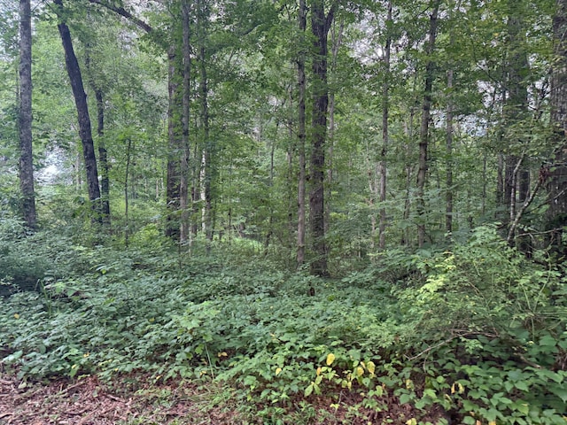 LOT1 Tipple Rd Lot 1, Tracy City, TN 37387 - photo 3