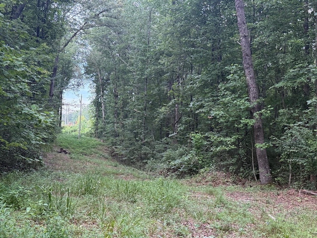 LOT1 Tipple Rd Lot 1, Tracy City, TN 37387 - photo 7