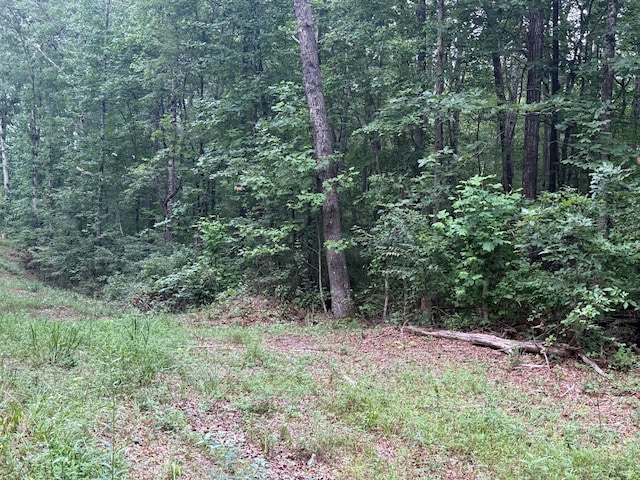 LOT1 Tipple Rd Lot 1, Tracy City, TN 37387 - photo 10