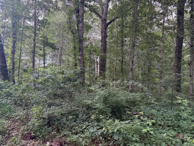 LOT1 Tipple Rd Lot 1, Tracy City, TN 37387 - photo 6