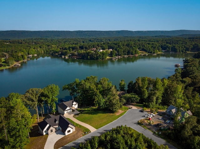 0 Spring Crossing Dr Lot 10, Spring City, TN 37381 - photo 1