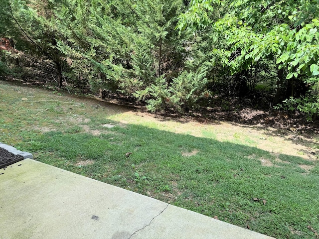 1109 Maple Tree Ln, Chattanooga, TN 37421 - photo 25