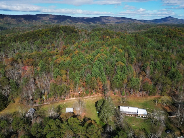 2009 Tellico Reliance Rd, Reliance, TN 37369 - photo 48
