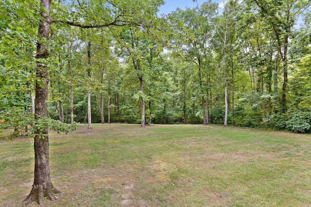 292 Swanger Rd, Signal Mountain, TN 37377 - photo 42