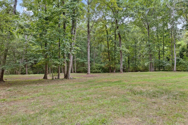 292 Swanger Rd, Signal Mountain, TN 37377 - photo 41