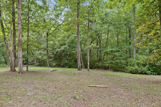 292 Swanger Rd, Signal Mountain, TN 37377 - photo 44