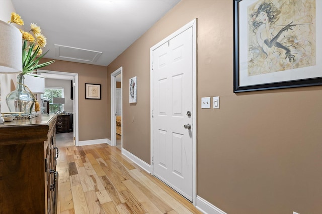 292 Swanger Rd, Signal Mountain, TN 37377 - photo 15