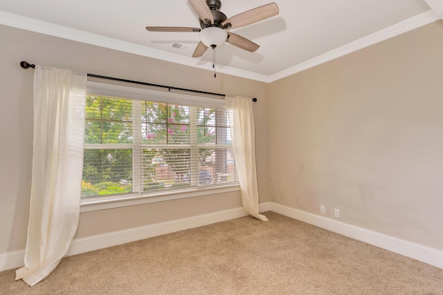 3307 Prairie Range Ln, Apison, TN 37302 - photo 35