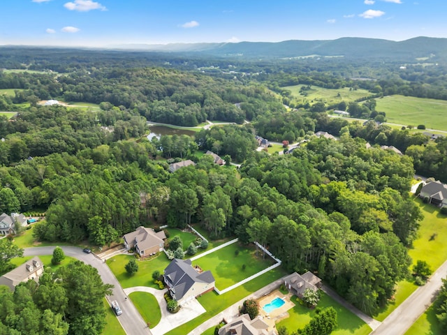 0 Summerfield Trl, Ringgold, GA 30736 - photo 6