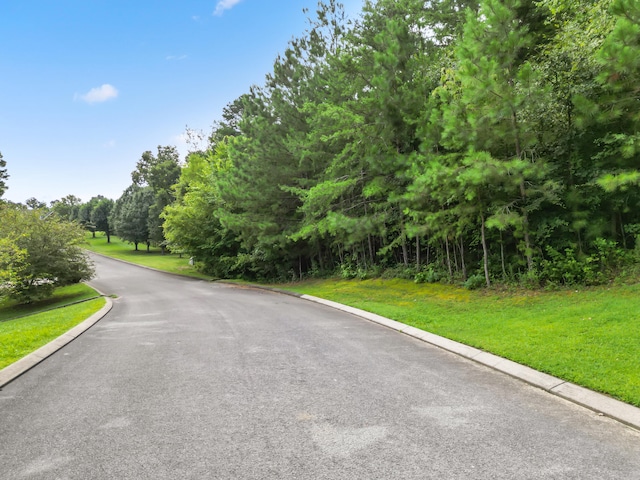 0 Summerfield Trl, Ringgold, GA 30736 - photo 2