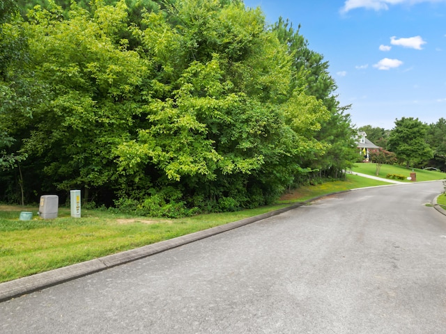 0 Summerfield Trl, Ringgold, GA 30736 - photo 12