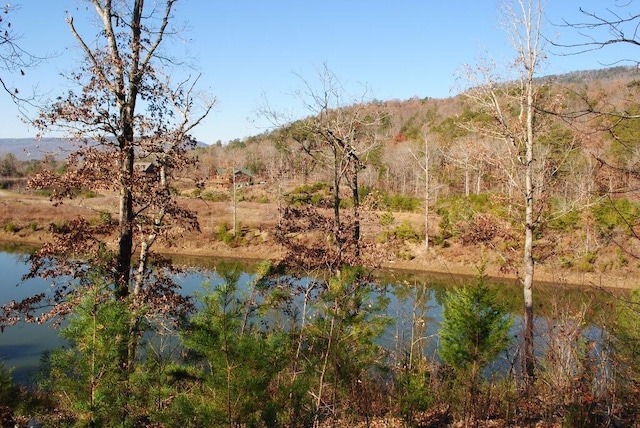 8 Lakeview Dr, Rising Fawn, GA 30738 - photo 2