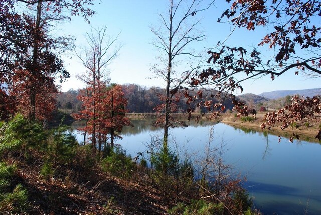 8 Lakeview Dr, Rising Fawn, GA 30738 - photo 3