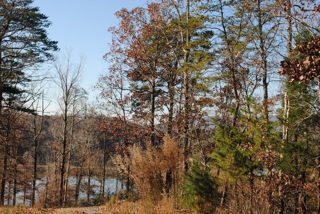 8 Lakeview Dr, Rising Fawn, GA 30738 - photo 6