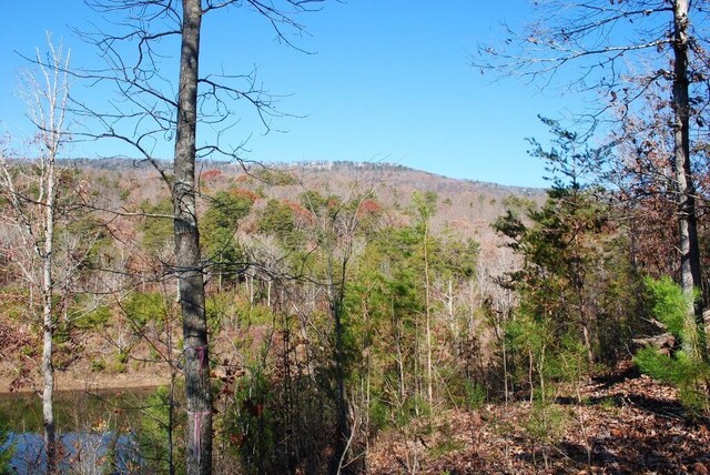 8 Lakeview Dr, Rising Fawn, GA 30738 - photo 11