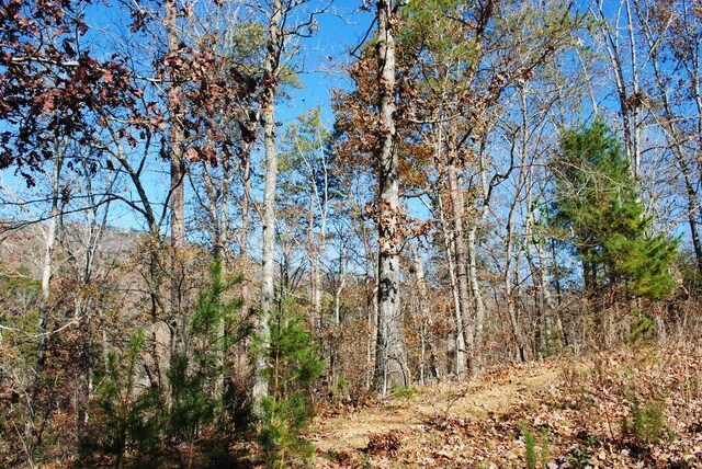 8 Lakeview Dr, Rising Fawn, GA 30738 - photo 18