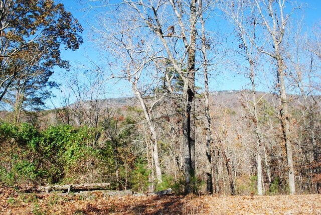 8 Lakeview Dr, Rising Fawn, GA 30738 - photo 19