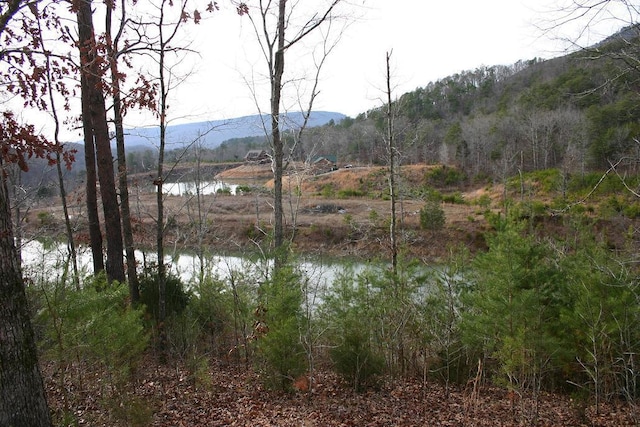 8 Lakeview Dr, Rising Fawn, GA 30738 - photo 1