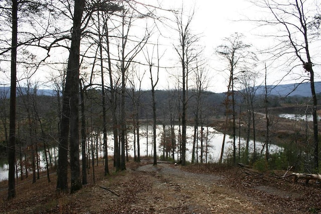 8 Lakeview Dr, Rising Fawn, GA 30738 - photo 20