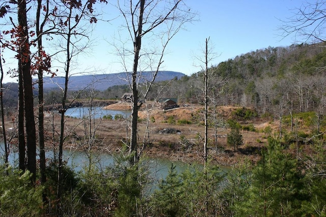 8 Lakeview Dr, Rising Fawn, GA 30738 - photo 21