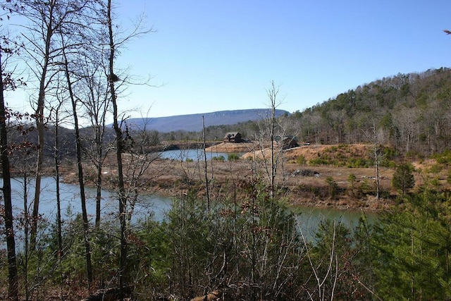 8 Lakeview Dr, Rising Fawn, GA 30738 - photo 22