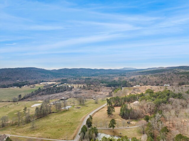 1469 Hickory Grove Rd, Ringgold, GA 30736 - photo 37