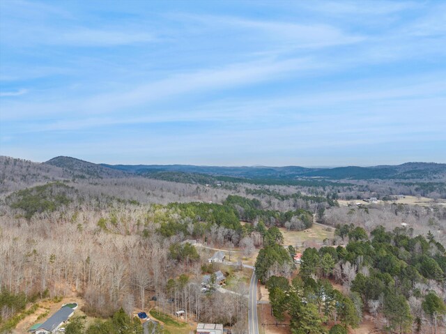 1469 Hickory Grove Rd, Ringgold, GA 30736 - photo 39