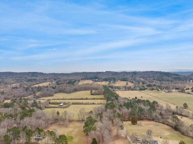 1469 Hickory Grove Rd, Ringgold, GA 30736 - photo 40
