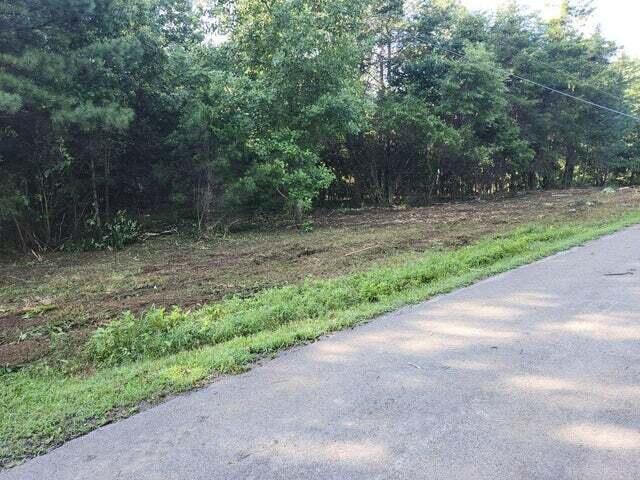 000 Lakeforest Dr, Birchwood, TN 37308 - photo 2
