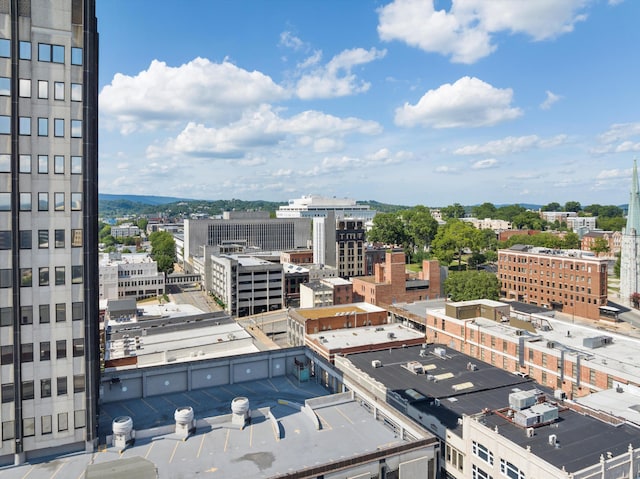 117 E 7th St Unit 802-A, Chattanooga, TN 37402 - photo 18