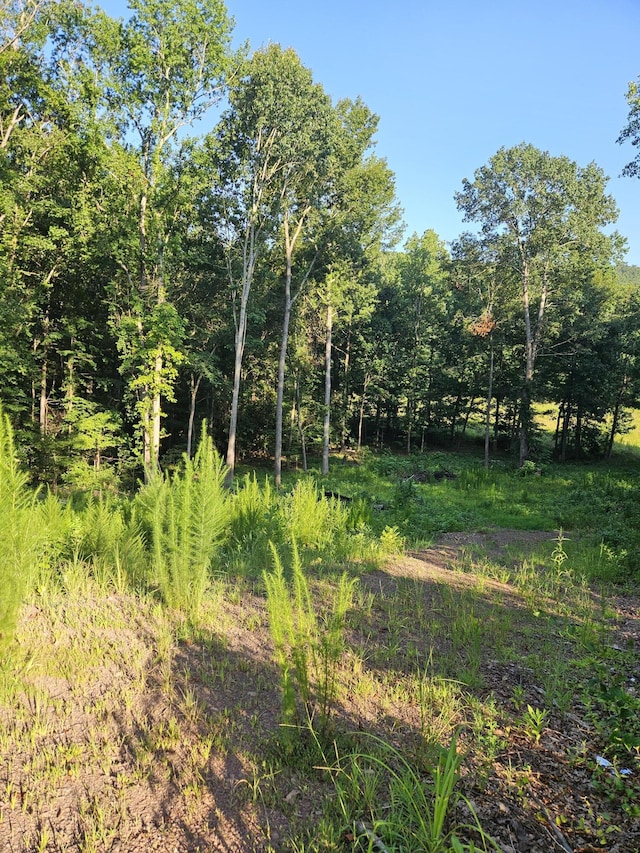 0 Loblolly Ln Unit 17, Tunnel Hill, GA 30755 - photo 11