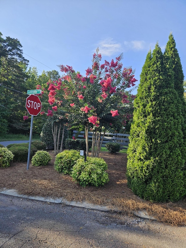 0 Loblolly Ln Unit 17, Tunnel Hill, GA 30755 - photo 2