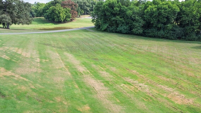 817 Fisher Rd, Dayton, TN 37321 - photo 37