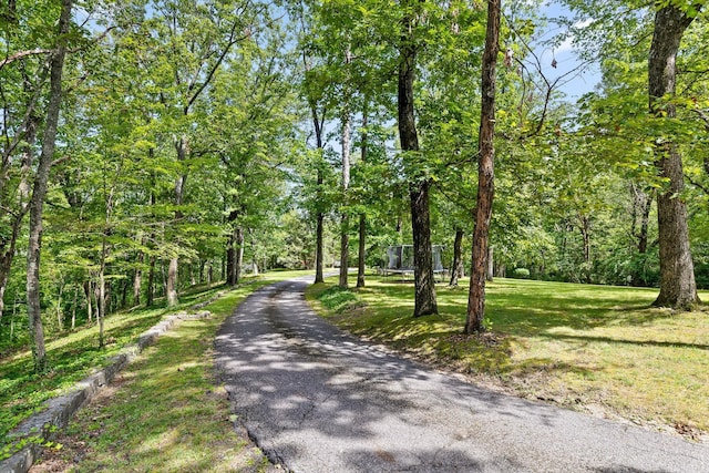 891 Fleetwood Dr, Lookout Mountain, TN 37350 - photo 5