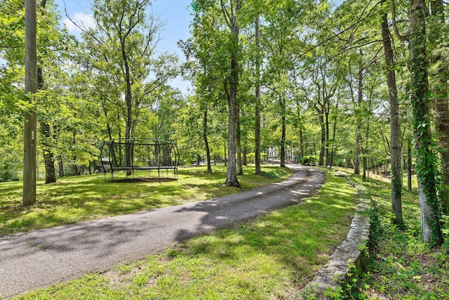 891 Fleetwood Dr, Lookout Mountain, TN 37350 - photo 7