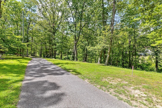 891 Fleetwood Dr, Lookout Mountain, TN 37350 - photo 8