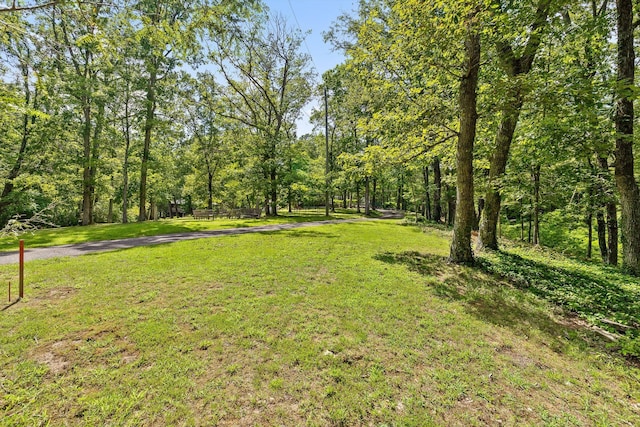 891 Fleetwood Dr, Lookout Mountain, TN 37350 - photo 9