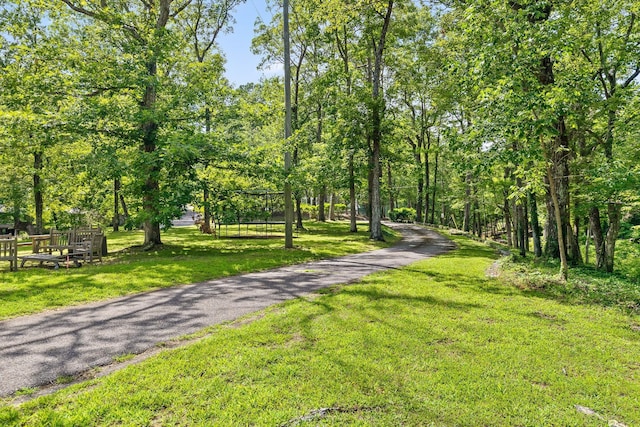 891 Fleetwood Dr, Lookout Mountain, TN 37350 - photo 11