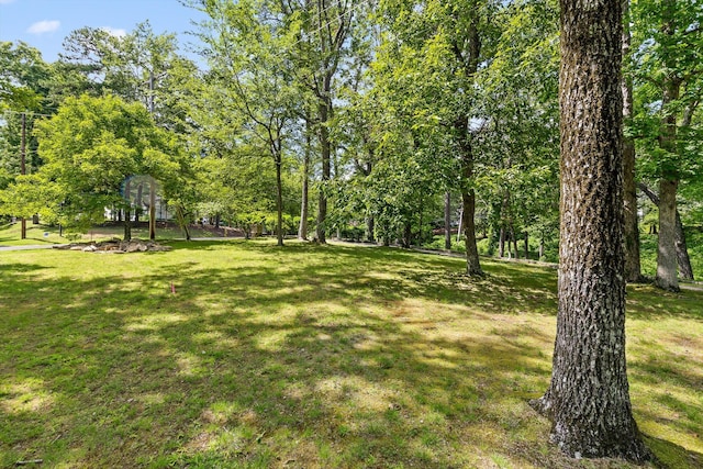 891 Fleetwood Dr, Lookout Mountain, TN 37350 - photo 12