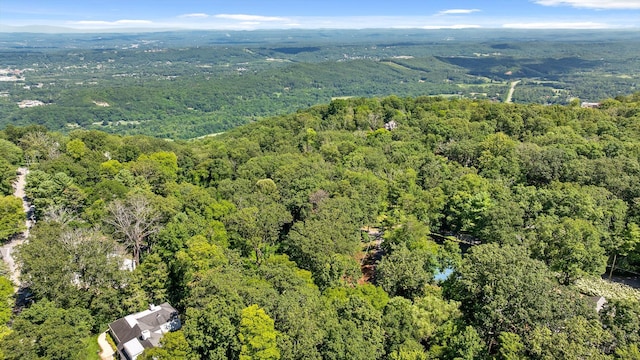 891 Fleetwood Dr, Lookout Mountain, TN 37350 - photo 15