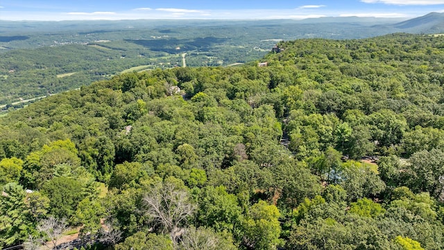 891 Fleetwood Dr, Lookout Mountain, TN 37350 - photo 16