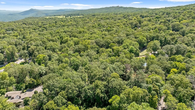 891 Fleetwood Dr, Lookout Mountain, TN 37350 - photo 18