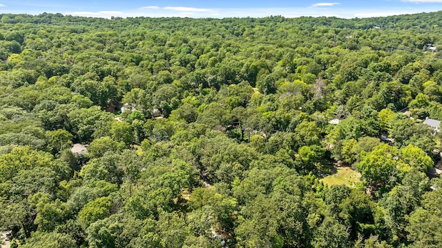 891 Fleetwood Dr, Lookout Mountain, TN 37350 - photo 20