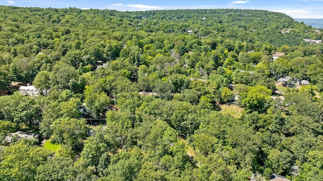 891 Fleetwood Dr, Lookout Mountain, TN 37350 - photo 21