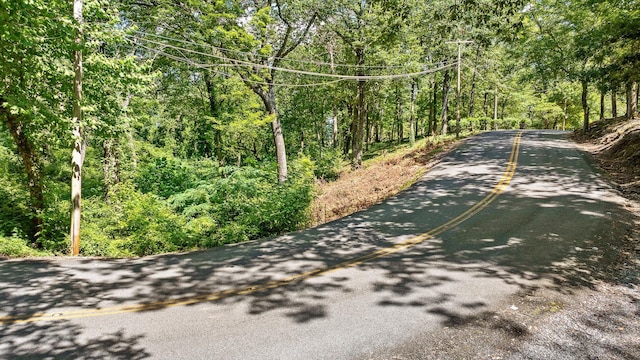 891 Fleetwood Dr, Lookout Mountain, TN 37350 - photo 23
